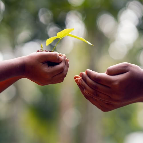 crecimiento personal resolver problemas mente serena, beñat michelena, 